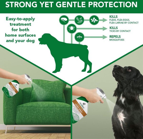 Show full view: Flea Away Flea & Tick Oral Treatment, 100 Chewable Tablets + Vet's Best Indoor Flea & Tick Home Spray for Dogs, 32-oz bottle slide 9 of 10