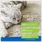 Show in main carousel: Flea & Tick - Adams Plus Flea Control Indoor Fogger, 3-oz, 3 count + 2 other items slide 3 of 9