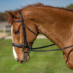 Flex Rider Elegance Fancy Stitched Hunter Snaffle Bridle, Havana, Full