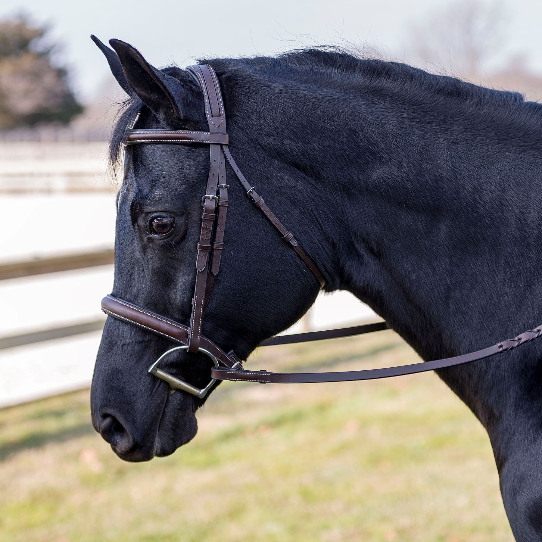 Flex Rider Elegance Hunter Snaffle Bridle, Caramel, Cob