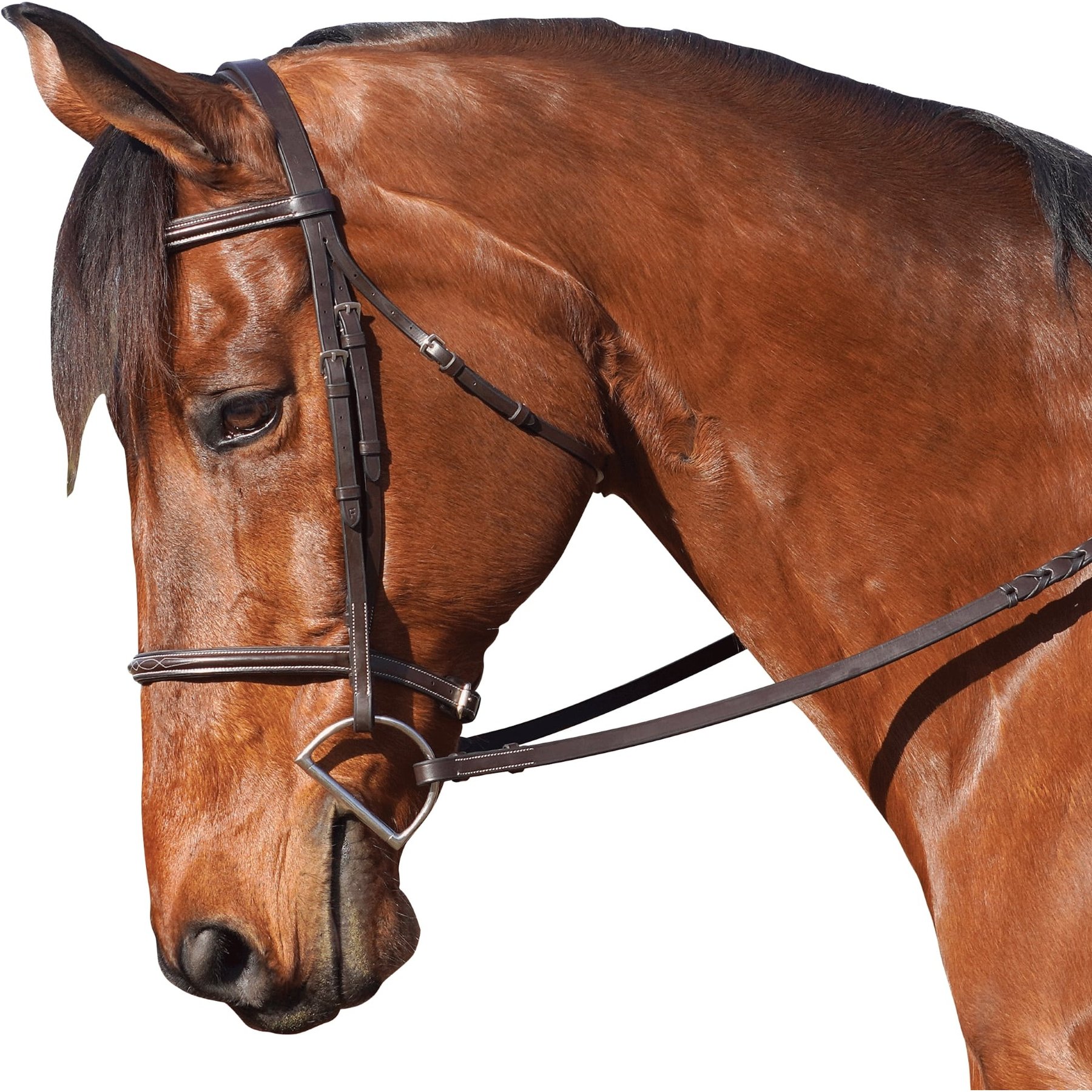 Flex Rider Fancy Stitched Raised Snaffle Bridle, Chocolate, Cob