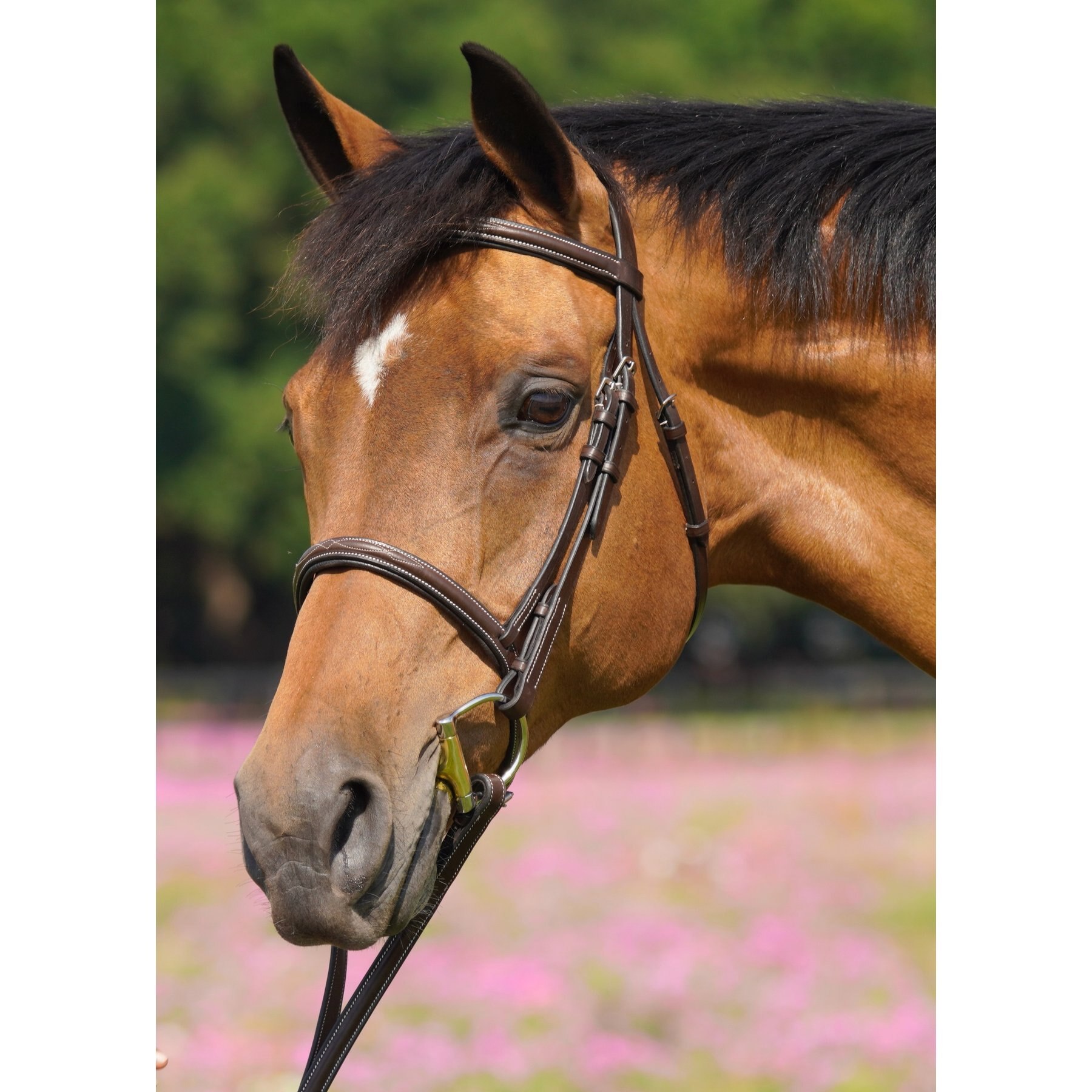 Flex Rider Fancy Stitched Raised Snaffle Bridle, Chocolate, Pony