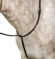 Flex Rider Pain Raised Standing Martingale, Chocolate, Cob