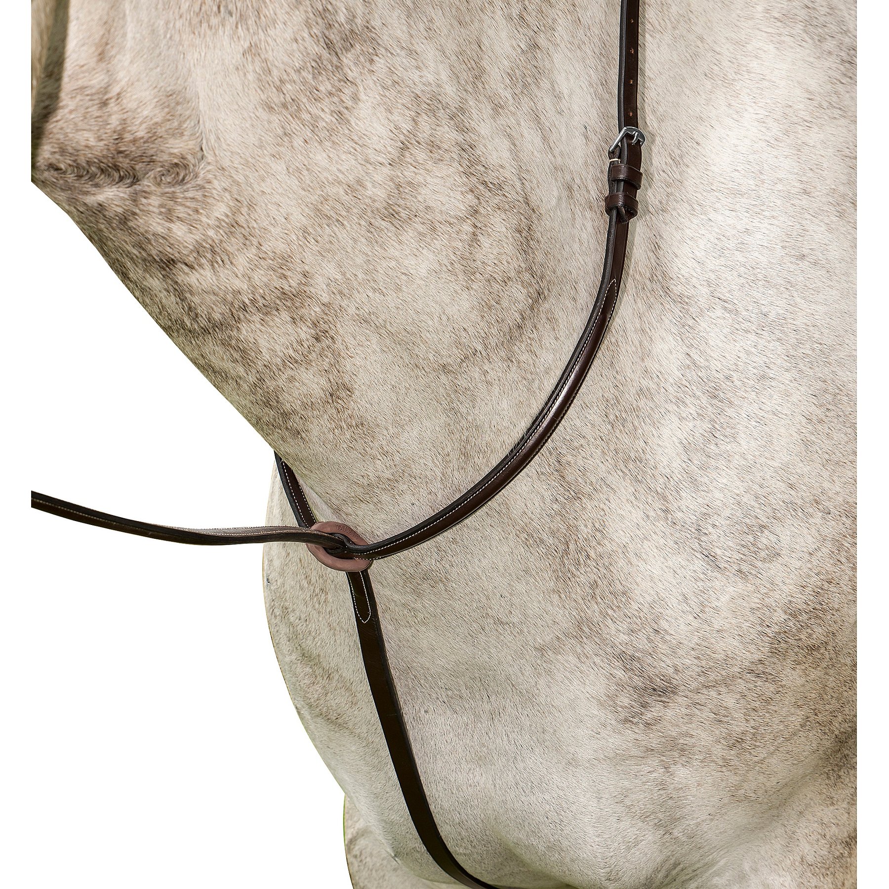 Flex Rider Pain Raised Standing Martingale, Chocolate, X-Full