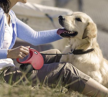 Show full view: Flexi Classic Nylon Tape Retractable Dog Leash, Black, Large: 16-ft long slide 5 of 9