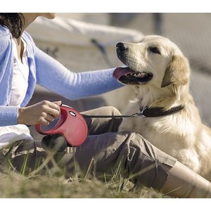 Flexi Classic Nylon Tape Retractable Dog Leash, Black, Medium: 16-ft long