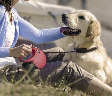 Show full view: Flexi Classic Nylon Tape Retractable Dog Leash, Blue, Large: 16-ft long slide 5 of 9