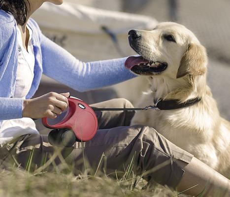 Show full view: Flexi Classic Nylon Tape Retractable Dog Leash, Blue, Large: 26-ft long slide 5 of 9