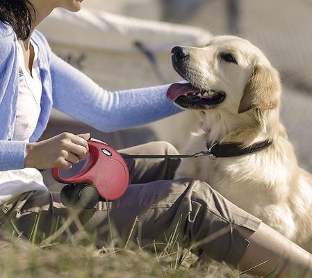 Show full view: Flexi Classic Nylon Tape Retractable Dog Leash, Blue, X-Small: 10-ft long slide 5 of 9