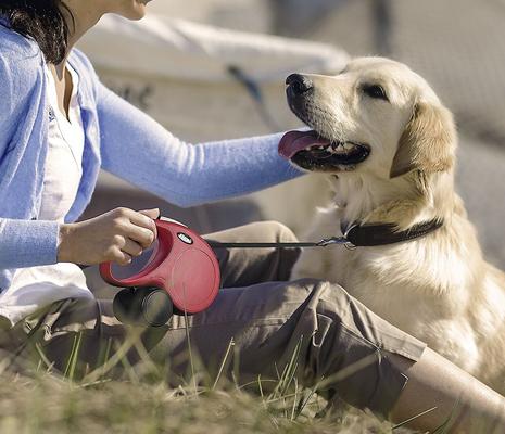 Show full view: Flexi Classic Nylon Tape Retractable Dog Leash, Pink, Small: 16-ft long slide 5 of 9