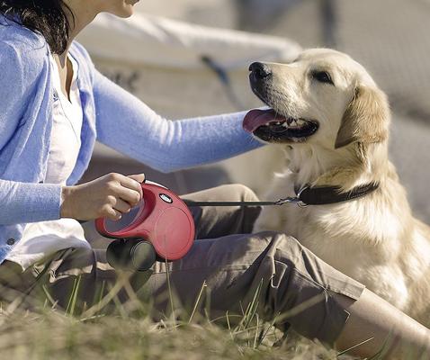 Show full view: Flexi Classic Nylon Tape Retractable Dog Leash, Pink, X-Small: 10-ft long slide 5 of 9