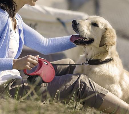 Show full view: Flexi Classic Nylon Tape Retractable Dog Leash, Red, Large: 16-ft long slide 6 of 10