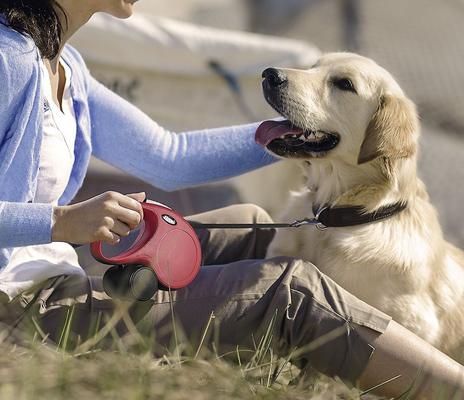 Show full view: Flexi Classic Nylon Tape Retractable Dog Leash, Red, Large: 26-ft long slide 5 of 9