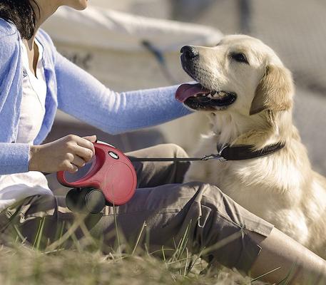 Show full view: Flexi Classic Nylon Tape Retractable Dog Leash, Red, Medium: 16-ft long slide 5 of 9