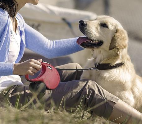 Show full view: Flexi Classic Nylon Tape Retractable Dog Leash, Red, X-Small: 10-ft long slide 5 of 9