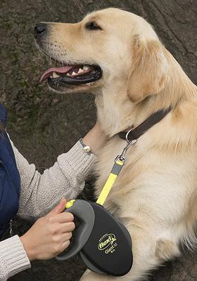 Show full view: Flexi Giant Nylon Tape Retractable Dog Leash, Black, Medium: 26-ft long slide 5 of 8