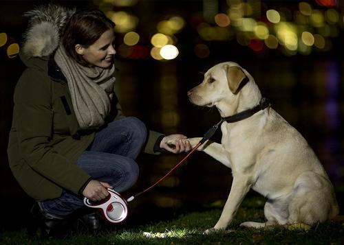 Show full view: Flexi LED Lighting System Dog Leash Attachment, Black slide 5 of 10