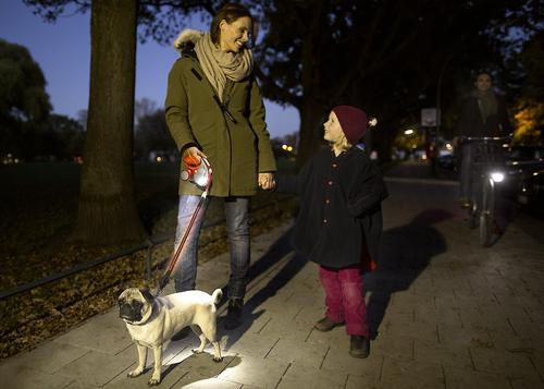 Show full view: Flexi LED Lighting System Dog Leash Attachment, Black slide 6 of 10