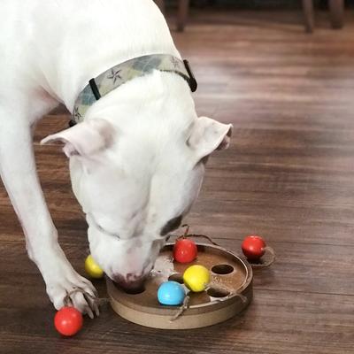 Show full view: Flipo Brainiac Bat-A-Ball Treat-Dispensing Dog Toy, Multi-Color slide 4 of 4