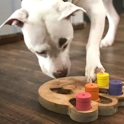 Show full view: Flipo Brainiac Busy Paw Treat-Dispensing Dog Toy, Multi-Color slide 4 of 4