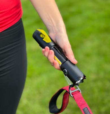 Show full view: Flipo Dr. Mike's Doggie Doo All Bag Dog Poop Bag Dispenser with Flashlight slide 3 of 9