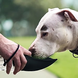 Flipo Fold-A-Bowl Non-skid Plastic Dog & Cat Bowl & Water Bottle, Gray, 26-oz, Black