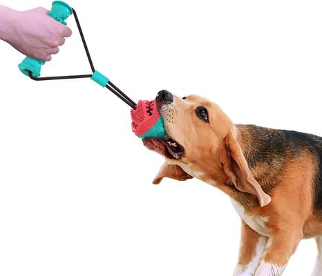 Show full view: Flipo Ruff & Ready Duo Chew & Tug Dog Toy, Blue slide 3 of 6