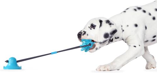 Show full view: Flipo Ruff & Ready Solo Chew & Tug Dog Toy, Blue slide 3 of 6