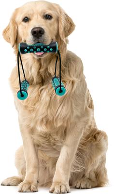 Show full view: Flipo Ruff & Ready Trio Chew & Tug Dog Toy, Blue slide 3 of 6