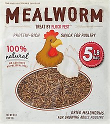 Flock Fest Dried Mealworms Adult Poultry Treats, 5-lb bag, 1 count