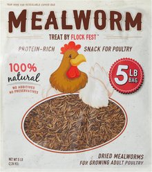 Flock Fest Dried Mealworms Adult Poultry Treats, 5-lb bag