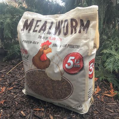 Show full view: Flock Fest Dried Mealworms Adult Poultry Treats, 5-lb bag, 1 count slide 5 of 9