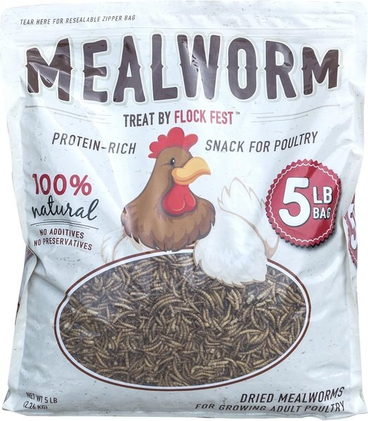 Flock Fest Dried Mealworms Adult Poultry Treats, 5-lb bag