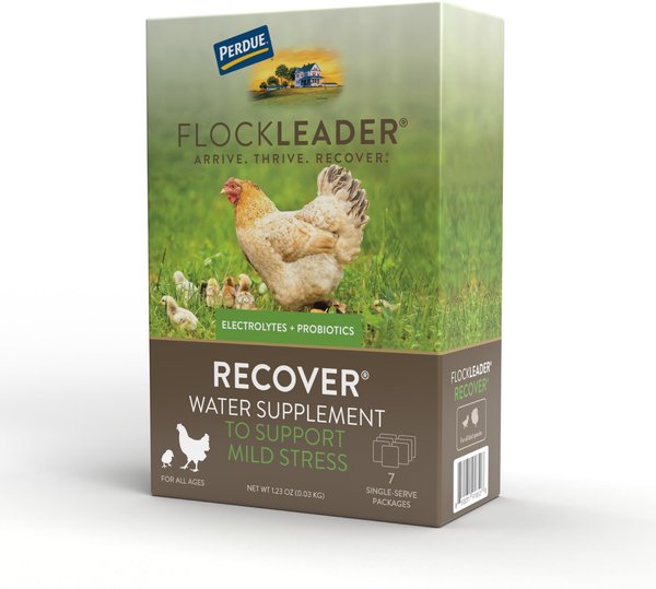 FlockLeader 7 Day Recover Poultry Supplement