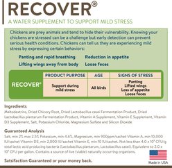 FlockLeader 7 Day Recover Poultry Supplement, 1.23-oz bag slide 2 of 6