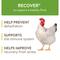 Show in main carousel: FlockLeader 7 Day Recover Poultry Supplement, 1.23-oz bag slide 3 of 8
