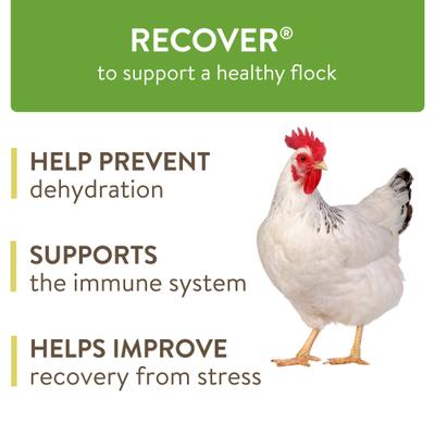 Show full view: FlockLeader 7 Day Recover Poultry Supplement, 1.23-oz bag slide 3 of 8