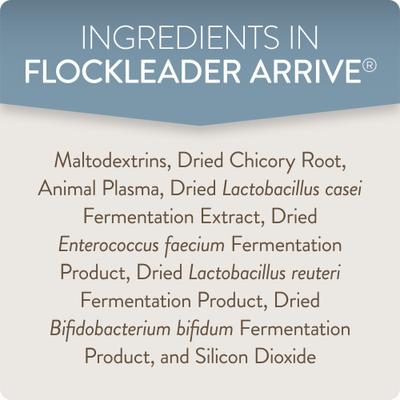 Show full view: FlockLeader Arrive Poultry Supplement, 8-oz bag slide 6 of 9