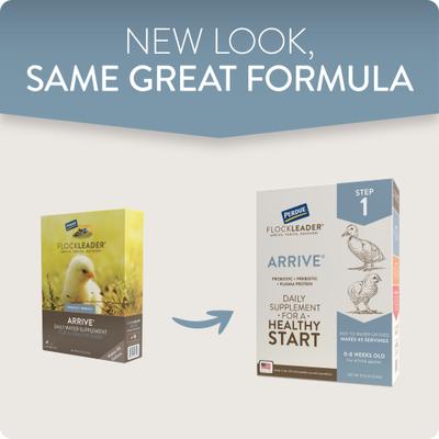 Show full view: FlockLeader Arrive Poultry Supplement, 8-oz bag slide 2 of 9
