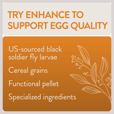 Show full view: FlockLeader Enhance Functional Poultry Treat, 1.5-lb bag  slide 5 of 11