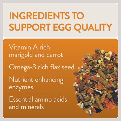 Show full view: FlockLeader Enhance Functional Poultry Treat, 1.5-lb bag  slide 6 of 11