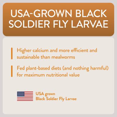 Show full view: FlockLeader Enhance Functional Poultry Treat, 1.5-lb bag  slide 8 of 11