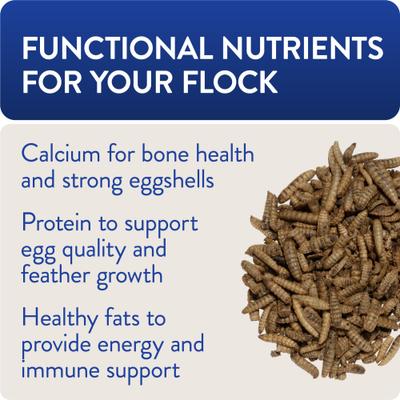 Show full view: FlockLeader Freedom Fly All American Dried Black Soldier Fly Larvae Poultry Treats, 1-lb box slide 3 of 10