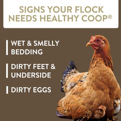 Show full view: FlockLeader Healthy Coop Poultry Supplement, 12-lb bag slide 3 of 7