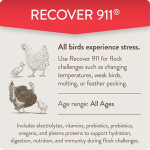 FlockLeader Recover 911 Poultry Supplement, 8-oz bag