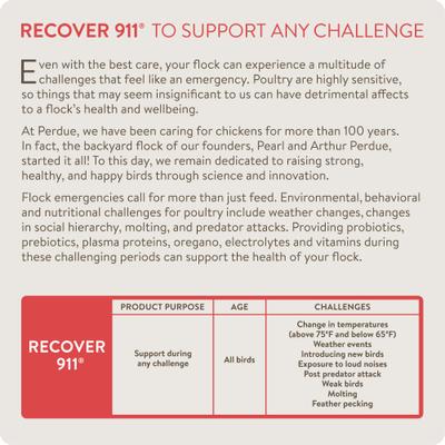 Show full view: FlockLeader Recover 911 Poultry Supplement, 8-oz bag slide 3 of 9