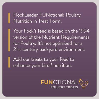 Show full view: FlockLeader Relax Functional Poultry Treat, 3.5-lb bag  slide 3 of 11