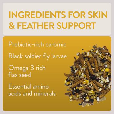 Show full view: FlockLeader Shine Functional Poultry Treat, 1.5-lb bag  slide 6 of 12