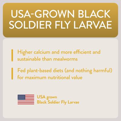 Show full view: FlockLeader Shine Functional Poultry Treat, 3.5-lb bag  slide 8 of 12