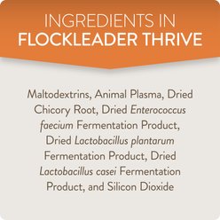 FlockLeader Thrive Poultry Supplement, 8-oz bag slide 2 of 7